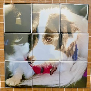 Photo Puzzle
